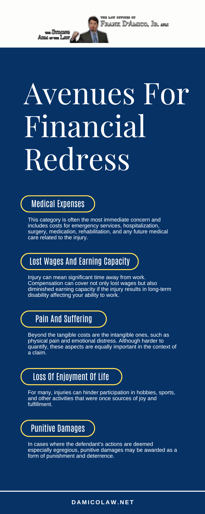 Avenues For Financial Redress Infographic